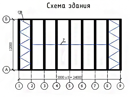 ����� ������ 24�12�