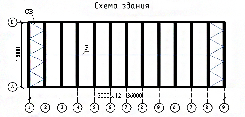 ����� ������ 36x12�